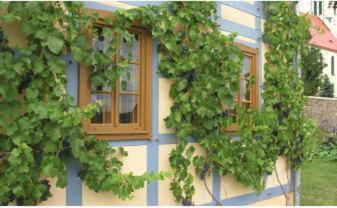 In Der Alten Weinstube فرايتال المظهر الخارجي الصورة