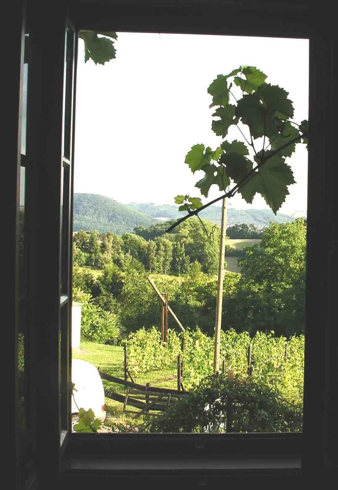 In Der Alten Weinstube فرايتال المظهر الخارجي الصورة
